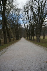 View of City Park Tivoli