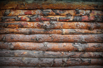 Wood background, old wood texture. Wooden planks as background. Rough, natural wood. Copy space for your text.
