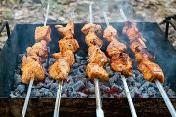 Cooking pork meat on the fire. Skewers with shashlik barbeque BBQ grill outdoor picnic.