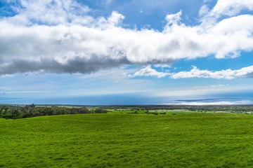 green field and blue sky