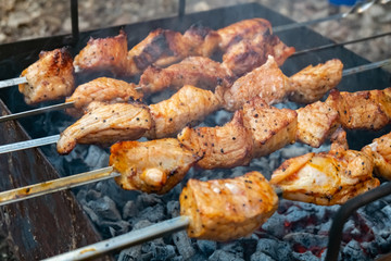 Cooking pork meat on the fire. Skewers with shashlik barbeque BBQ grill outdoor picnic.
