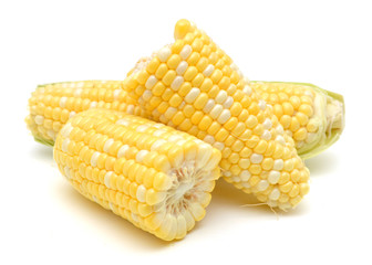 Corn on a white background