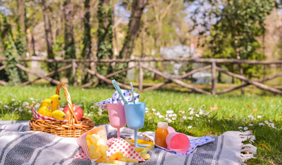 Colored plastic dishes and fruit basket, outdoor picnic sandwiches in the park. Nice sunny day and summer lunch.