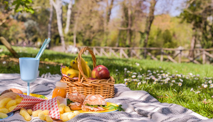 Lunch in the park on the green grass. Summer sunny day and picnic basket.