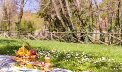 Fruit basket and picnic snacks. Sunny day in the park and green grass with flowers.