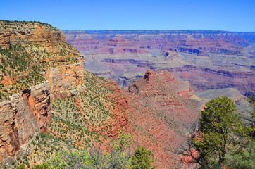 Grand Canyon is a steep-sided canyon carved by the Colorado River  adjacent rim are contained...