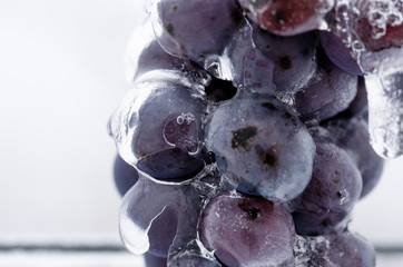 Closeup of a frozen bunch of grapes in wintry vineyard. Vineyard in winter. Ice on the grape