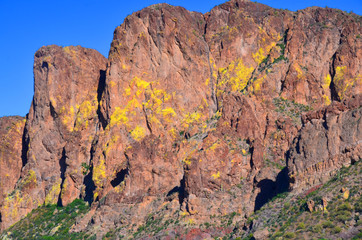 Tonto National Monument is a National Monument in the Superstition Mountains, in Gila County of...