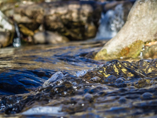 Crystal clear water, small mountain creek