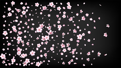 Nice Sakura Blossom Isolated Vector. Spring Falling 3d Petals Wedding Border. Japanese Oriental Flowers Wallpaper. Valentine, Mother's Day Feminine Nice Sakura Blossom Isolated on Black