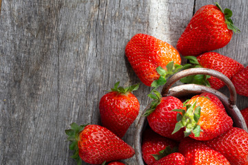 Erdbeere im Eimer auf grauem hintergrund