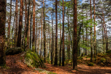 Green stones , national park Peneda Geres, north of Portugal.