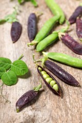 Pods of green and purple peas on a old wooden surface. Healthy food. Selective focus.