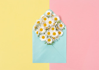 Chamomile flowers envelope Daisy blooms pink yellow paper