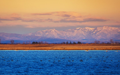 Amazing landscape of Greece - flamingos flying over the blue lake