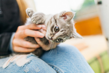 The girl is sitting and holding a kitten. the cat looks down