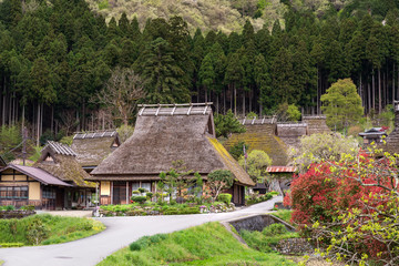 Fototapeta na wymiar Traditional thatched roof houses in small village of Miyama in the mountains north of Kyoto