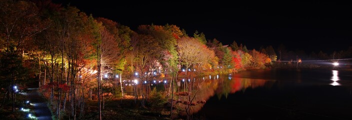 茶臼山　紅葉ライトアップ