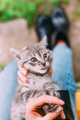 The girl keeps the cat and he shows the tongue. striped cat