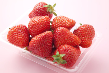 イチゴ　スタジオ撮影　