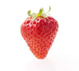 イチゴ　スタジオ撮影　