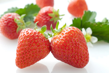 イチゴ　スタジオ撮影　