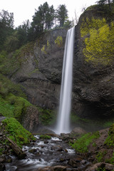 long exposure of Pacific Northwest waterfall in green forest