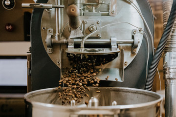 Fresh Roasted Natural Coffee Beans Cascading out of Industrial Coffee Bean Roaster Machine Inside the Coffee Shop