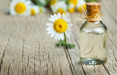 Essential camomile oil in glass bottle with fresh chamomile flowers, fragrant daisy oil, beauty treatment. Spa concept