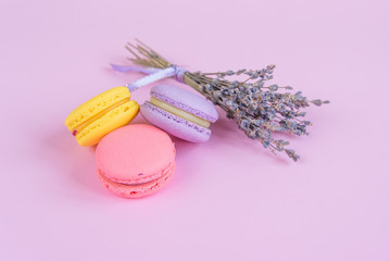 Delicious violet and yellow macarons and branch of fragrant lavender on pink background.