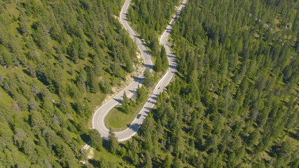 AERIAL: Flying above a hairpin turn running through the dense spruce forest.