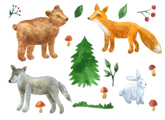 Forest animals in cute style: wolf, bear, fox, hare. Set of elements for design. Spruce, mushrooms, berries, branches. Hand drawn watercolor illustration. Isolated on white background.