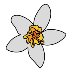 exotic tropical flower icon