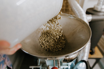 Fresh Green Organic Natural Coffee Beans being Poured into Industrial Coffee Roasting Machine in a Coffee Shop