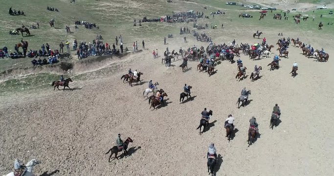 herd of horses view from drone Frightened horse stands on its legs during traditional game at Karakol festival in Tajikistan. It was scared byt goat carcass.