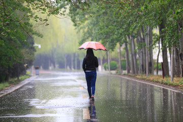 A woman with an umbrella is walking in the park