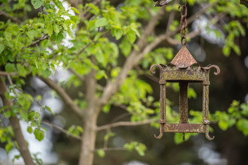 ave pajarera casa árbol naturaleza madera nido
