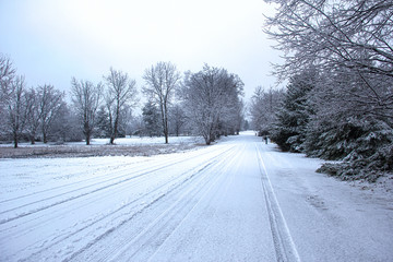 Fototapeta premium Snow road