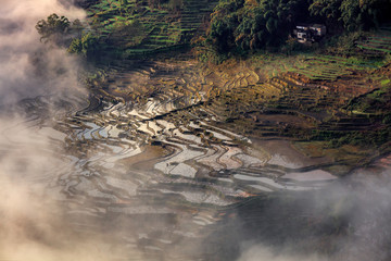 Samaba Rice Terrace Fields in Honghe County - Baohua township, Yunnan Province China. Sama Dam Multi-Color Terraces - grass, mud construction layered terraces filled with water. Hani and Yi Culture