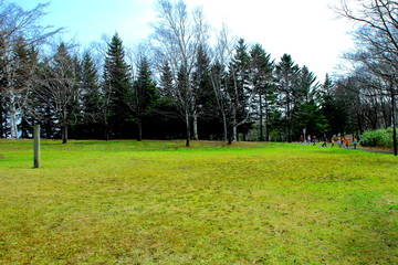 春の札幌の公園散歩道