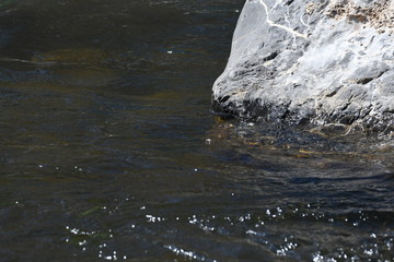 Jordenelle refuge provo river