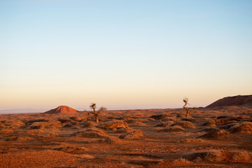 Golden deserts and hills at sunrise.