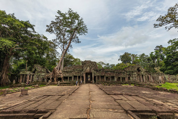 Siem Rap, Cambodia, September 7th 2018 : Strangler fig tree growing on top of the wall at Preah Khan temple ruins at Angkor, Siem Reap, Cambodia