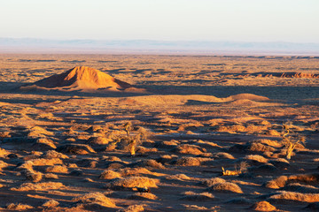 view of the gobi desert at sunrise.