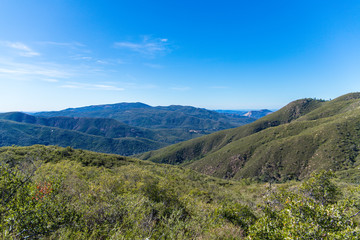 Fototapeta na wymiar Palomar Mountain, CA