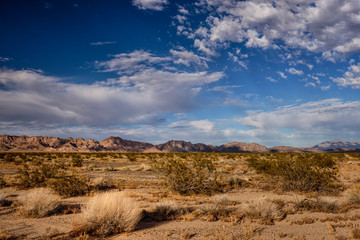 Beautiful landscape of the Mojave Desert under a blue sky with dramatic clouds on a Spring afternoon in Southern California.