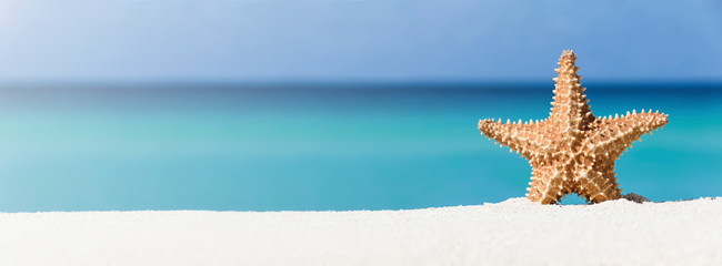 Starfish on caribbean sandy beach
