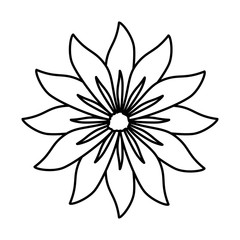 Fototapeta premium beautiful flower decorative icon