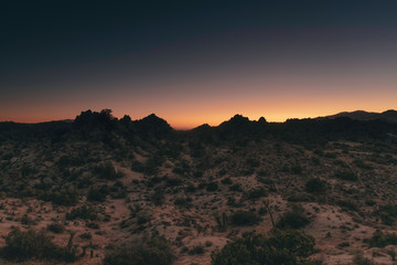 Sunset over Joshua Tree