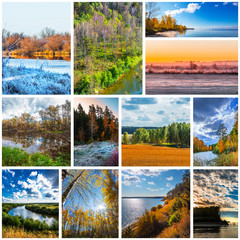 Collage "Seasons. Autumn." The Nature Of Western Siberia